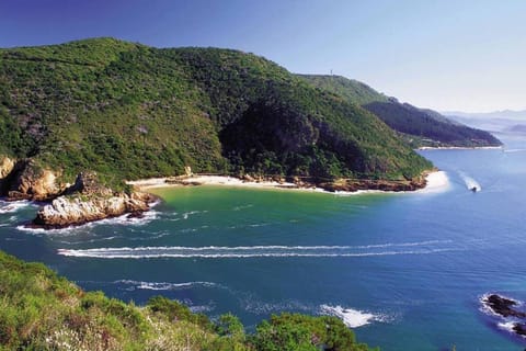 Forest Studio Apartment in Knysna