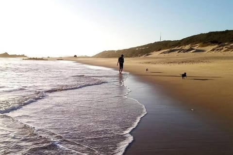 Forest Studio Apartment in Knysna