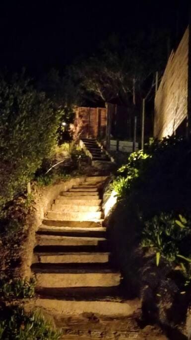 Forest Studio Apartment in Knysna