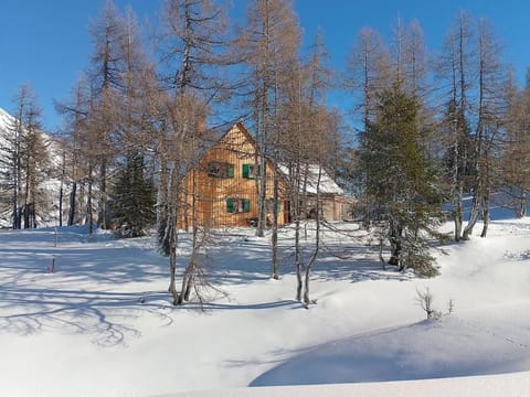 Property building, Natural landscape, Winter