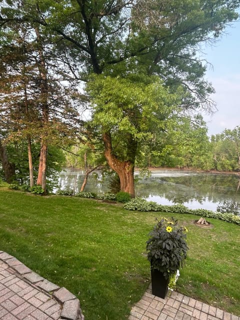 Natural landscape, River view