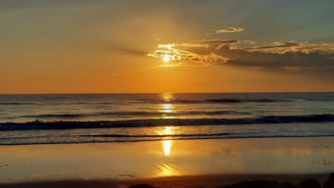 Fishing, Beach, Beach, Windsurfing, Sunrise