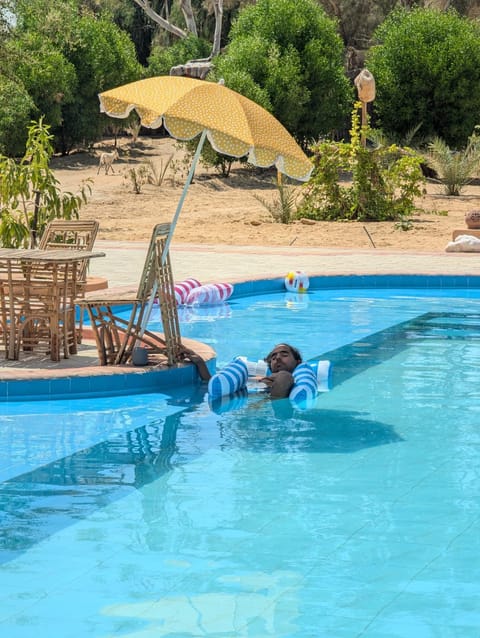Swimming pool, sunbed