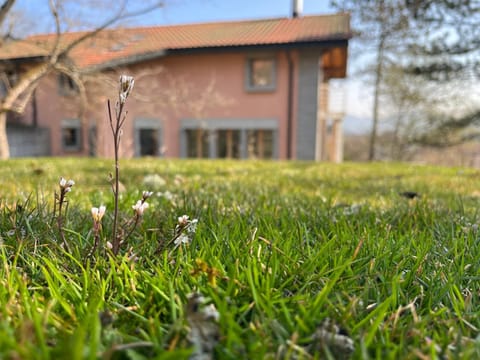 Day, Garden view