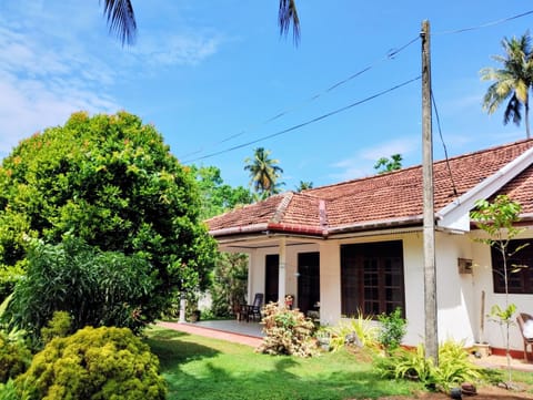 Property building, Garden, Garden view