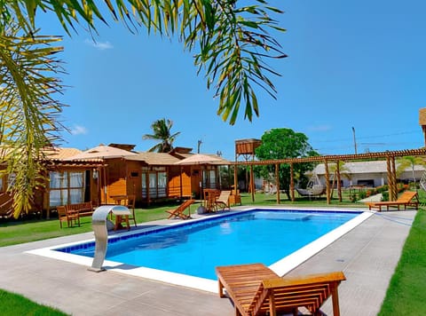 Garden, Pool view, Swimming pool, sunbed