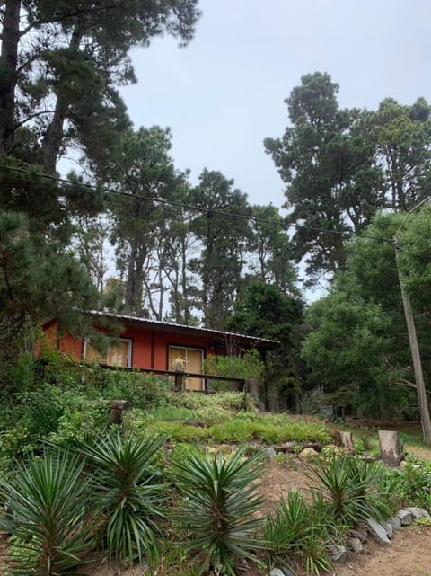 Property building, Natural landscape, Garden view