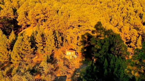 Natural landscape, Bird's eye view