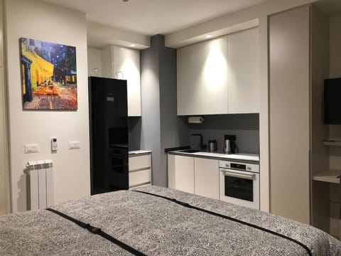 Lovely BW Metropolitan studio Apartment in Belgrade