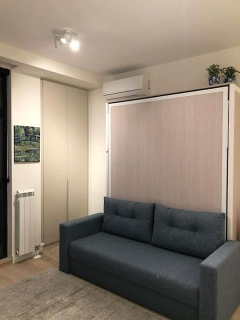 Lovely BW Metropolitan studio Apartment in Belgrade