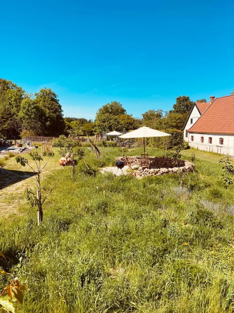 Garden, Garden, Garden view, Garden view