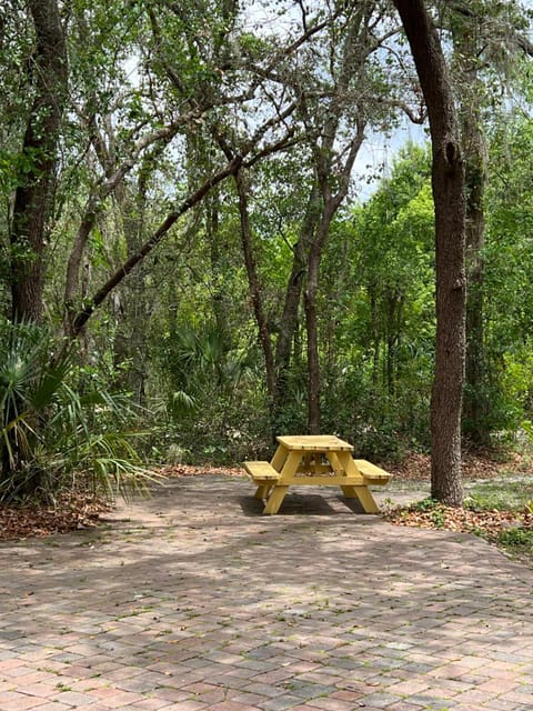 Spacious and relaxing Home - Longwood, Florida House in Longwood