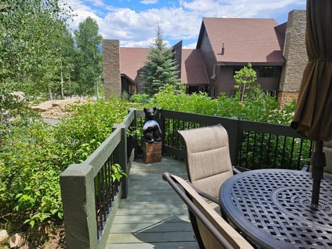 Silverpick Condo 109 Near Purgatory - Cliffside Casa - Durango House in Purgatory