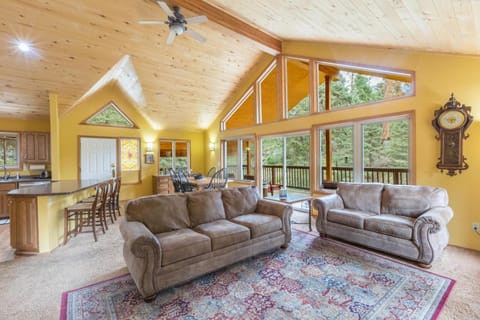 410 Mother Lode Lane House in Ouray