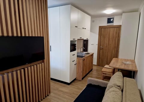 Sunčana Planina Kopaonik Apartment in Serbia