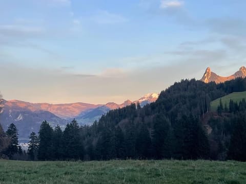 Joli studio au pied du Moleson Apartment in Fribourg, Switzerland