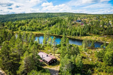 Property building, Natural landscape, Bird's eye view, Lake view, Mountain view