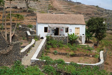 Property building, Day, Natural landscape