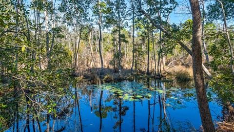 Canal Of A Good Time House in Seagrove Beach