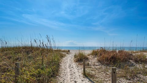 Sandy Teauxs House in Sunnyside