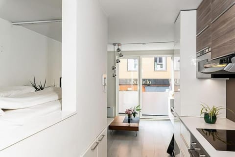 Kitchen or kitchenette, minibar, pet friendly, stove