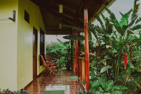 Patio, Garden