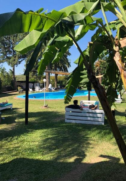 Day, Garden, Garden, Garden view, Pool view, Swimming pool, sunbed