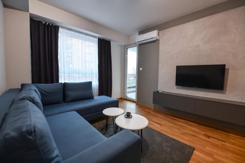 TV and multimedia, Living room, Seating area, air conditioner