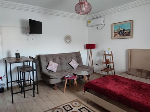 Bed, TV and multimedia, Living room, Photo of the whole room, Seating area, Bedroom, air conditioner