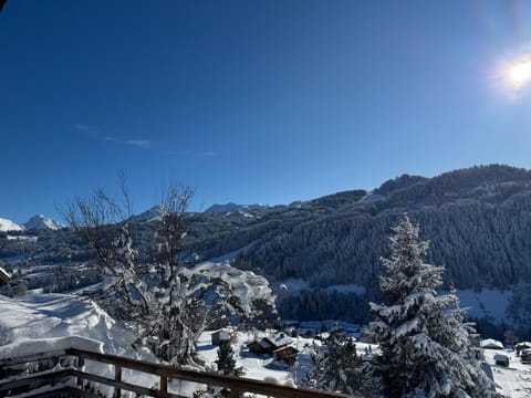 Chalet Cosy Les Gets Vue Montagne Chalet in Les Gets