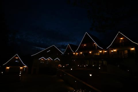 Brvnara Mont 4 Chalet in Zlatibor