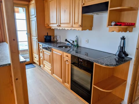 Kitchen or kitchenette, kitchen