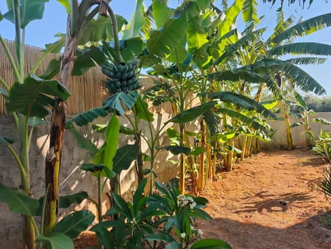 m&m's city loft Apartment in Chania