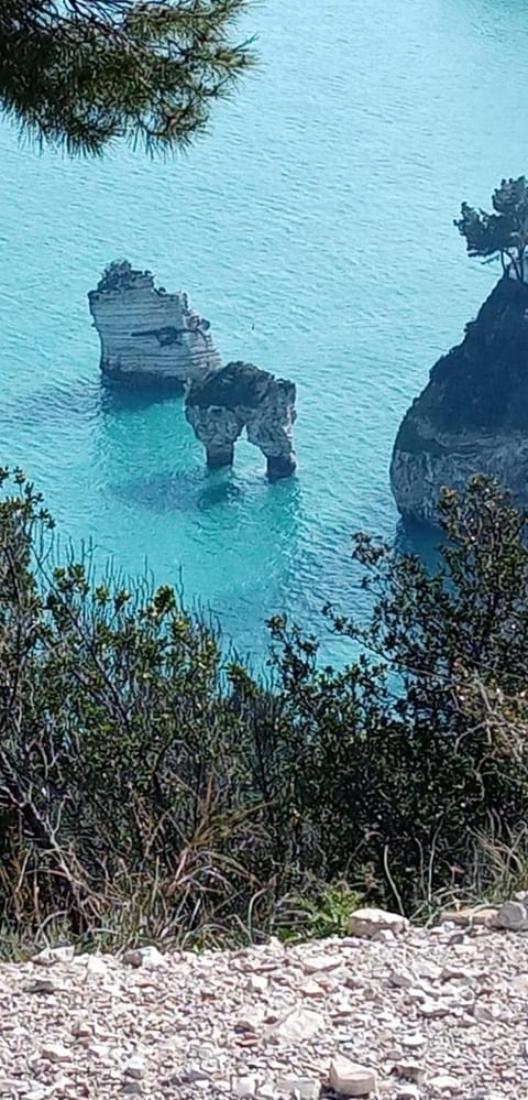 B&B Il Faraglione Bianco Bed and Breakfast in Vieste