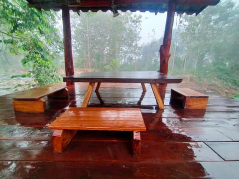 Garden, Balcony/Terrace