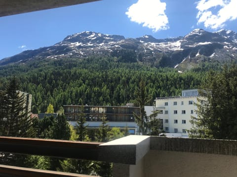 View (from property/room), View (from property/room)