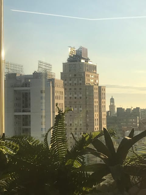 City view, City view