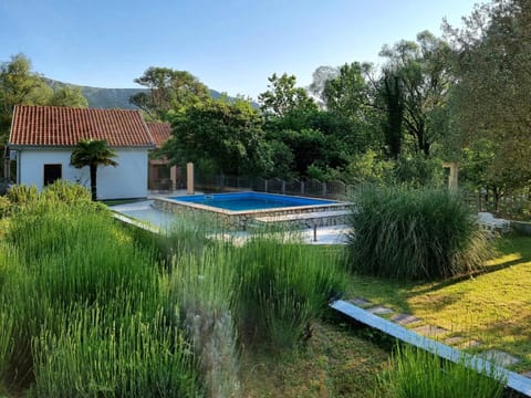 Natural landscape, Garden view, Swimming pool