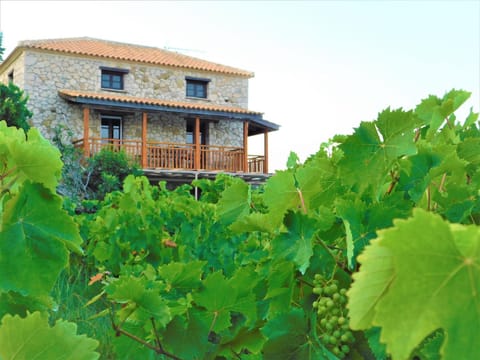 Property building, Day, Garden, Garden view