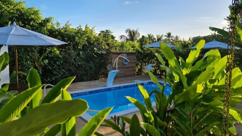 Swimming pool, Swimming pool