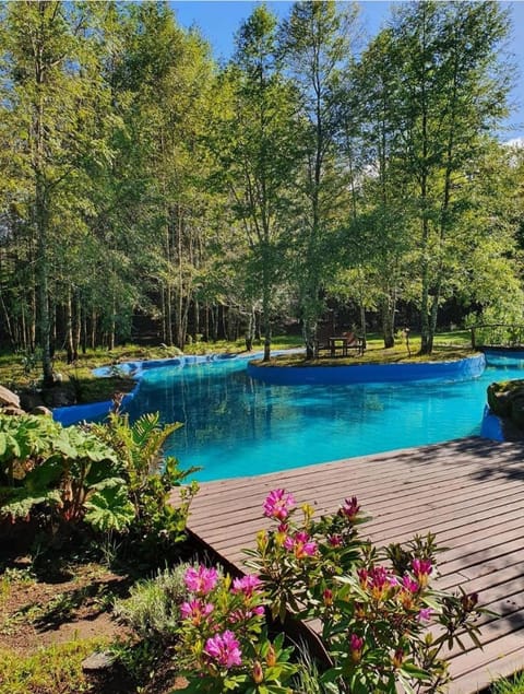 Garden, Garden view, Swimming pool