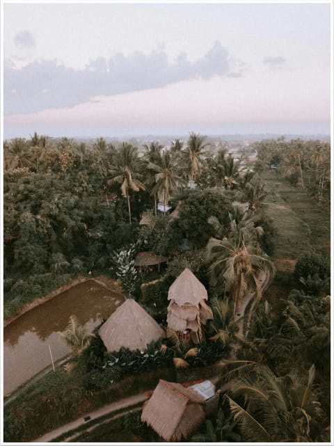 Day, Natural landscape, Bird's eye view