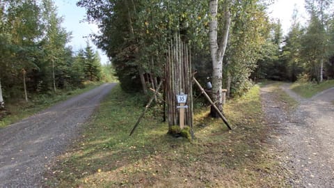 Day, Neighbourhood, Natural landscape, Summer, Street view, Location