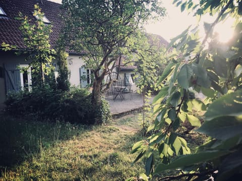 Day, Natural landscape, Garden, Garden view