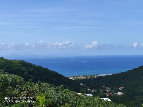 Sea view