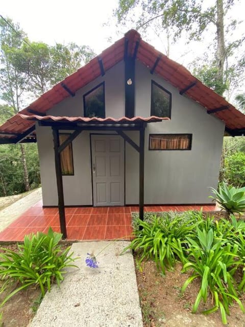Property building, Area and facilities