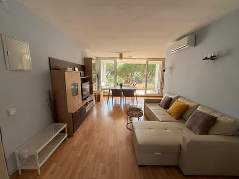 Living room, Dining area, air conditioner