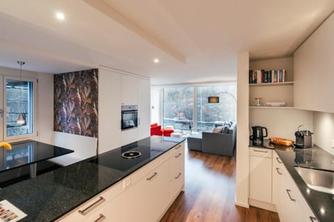 Kitchen or kitchenette, Living room, Seating area, Dining area, stove, kitchen