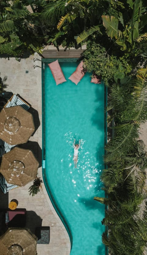 Day, Pool view, Swimming pool