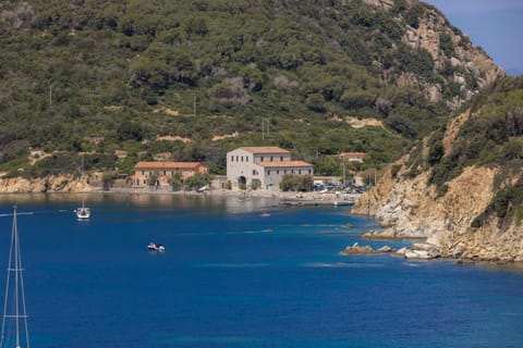 Property building, Natural landscape, Summer